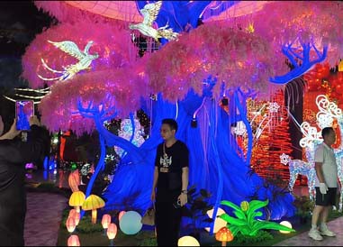 Lantern Exhibition Hall Lantern Exhibition Hall