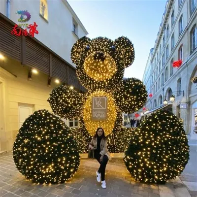 Led Christmas Bear